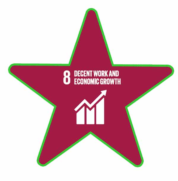 decent work and economic growth 4